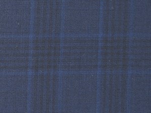 Navy Tonal Check