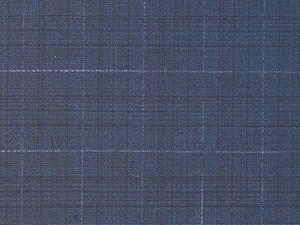 Navy Check with Pale Blue Overcheck